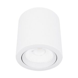 10YSNLED009MV30B LÁMPARA DE INTERIOR SPOT LED PARA SOBREPONER 10W - TECNOLITE