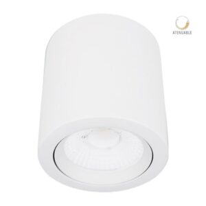 20DYSNLED009V30B LÁMPARA DE INTERIOR SPOT LED ATENUABLE PARA SOBREPONER 20 W - TECNOLITE